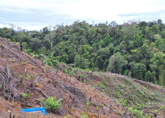 UU Pengaturan Reforma Agraria Buka Jalan Pemulihan Hak Masyarakat dalam Konflik Pertanahan