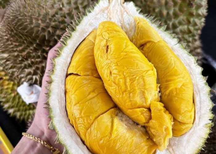 Simak! Ini Manfaat  Buah Durian untuk Wanita, Salah Satunya Meningkatkan Kesuburan!