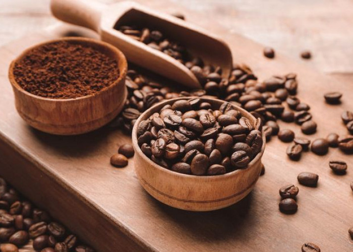 Arabika atau Robusta? Panduan Lengkap Memilih Jenis Kopi Sesuai Selera
