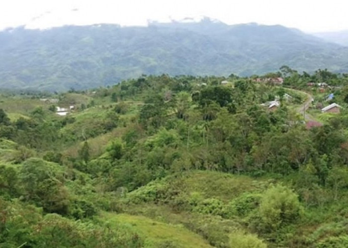 Kebun Bunga Ibu Tien Soeharto Ibaratkan Berada di Atas Awan dan Berupa Hamparan Ratusan Hektar