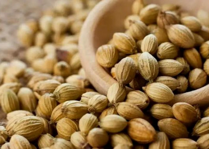  Jarang Disadari, Kapulaga Ternyata Punya Banyak Manfaat untuk Wanita