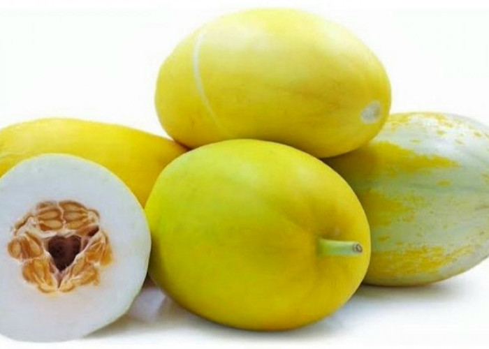 Kandungan dan Manfaat Timun Suri yang Jarang Diketahui, Cocok untuk Menu Diet Sehat