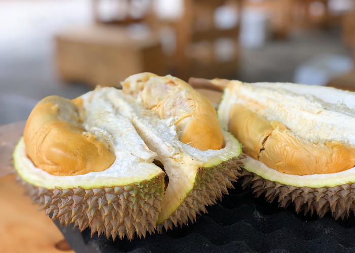 Manfaat Buah Durian untuk Kesehatan Kulit, Cek Disini!