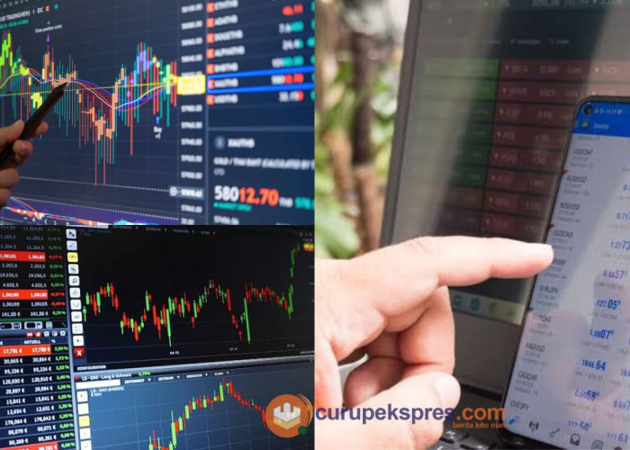 Panduan Lengkap Trading Forex untuk Pemula