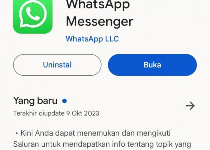 Aplikasi WhatsApp Ditutup 24 Oktober untuk Android dan iPhone