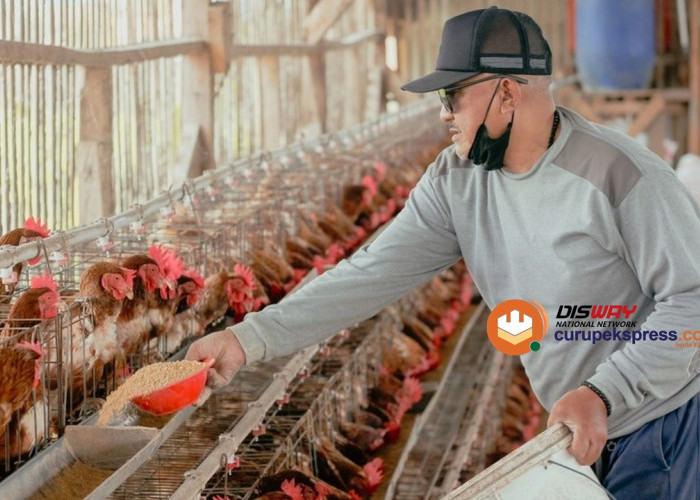  5 Ide Usaha di Masa Pensiun yang Bisa Dibiayai Briguna Purna, Solusi Cerdas untuk Hari Tua!