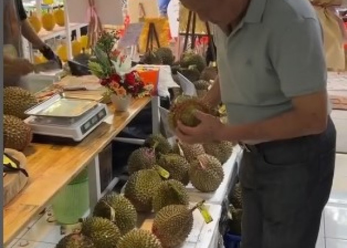 Festival Durian di Rejang Lebong Bakal Hadirkan Varietas Langka