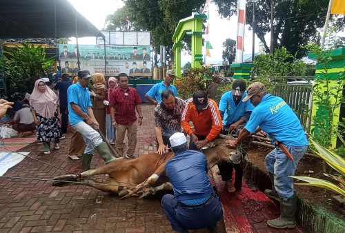 Catat! Waktu Baik Berqurban Hanya Berlaku 4 Hari