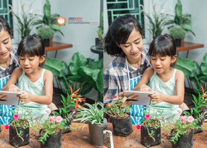 5 Tips Berkebun di Rumah untuk Anda yang Masih Pemula!