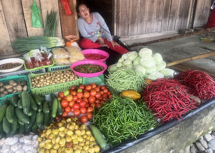 Harga Sayur Mayur di Pasar Rejang Lebong Beranjak Naik