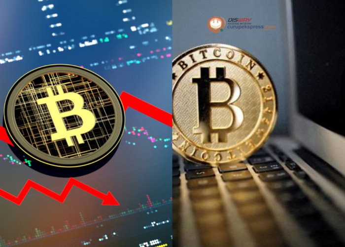 Sempat Terjun Bebas, Berikut Penyebab Turunnya Harga Bitcoin!