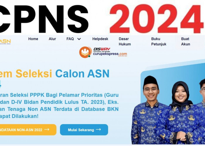 Catat! Berikut Cara Cek Pengumuman SKD CPNS 2024