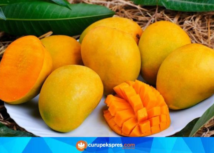 Fakta Unik Mangga Untuk Kesehatan Tubuh