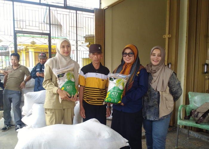 Petani Curup Utara Terima 16 Ton Benih Padi