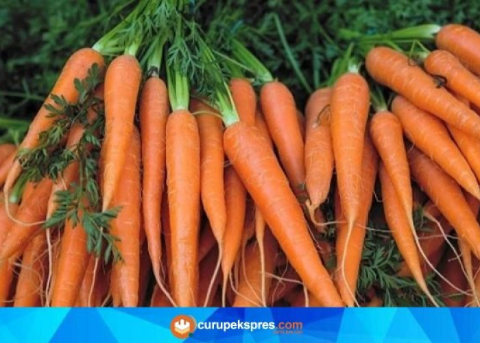 Keajaiban Sayuran Oranye: 5 Cara Mengkonsumsi Wortel untuk Menjaga Kesehatan Tubuh