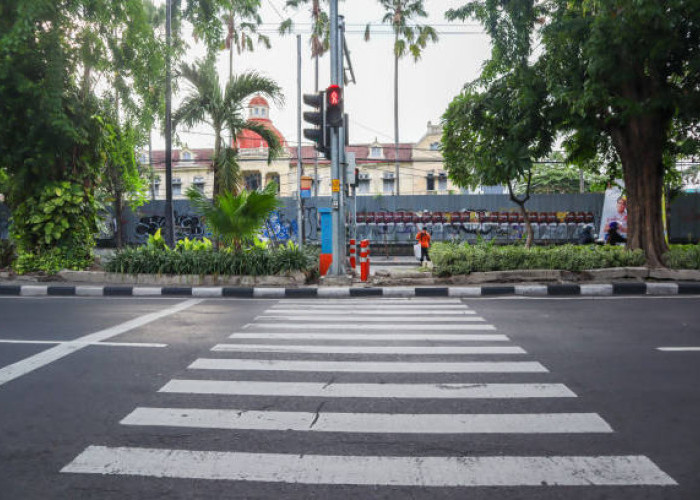 Sejarah Zebra Cross dan Fungsinya