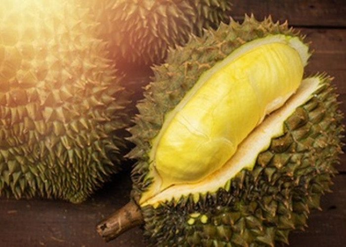 Pernah Mimpi Kejatuhan Durian? Ternyata Ini Pertanda Baik Lho!