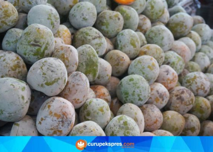 7 Fakta Tentang Buah Kesemek, Bisa Mengurangi Risiko Kanker