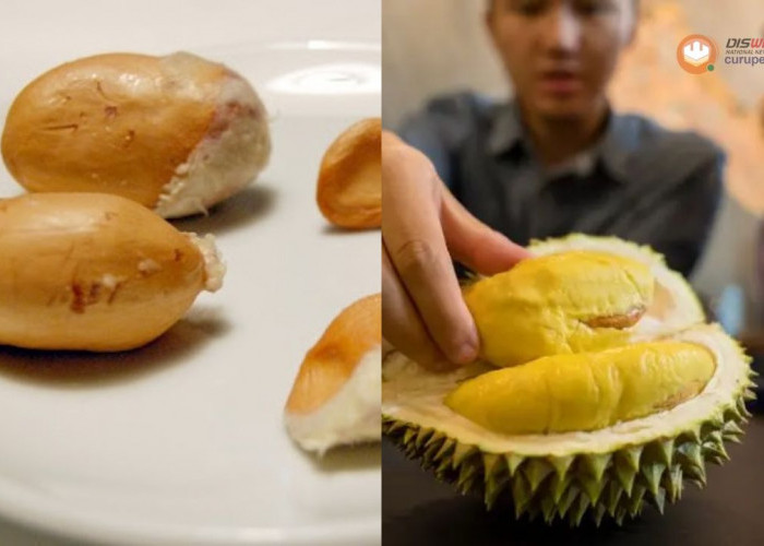 Manfaat Biji Durian untuk Kesuburan Pria yang Wajib Diketahui