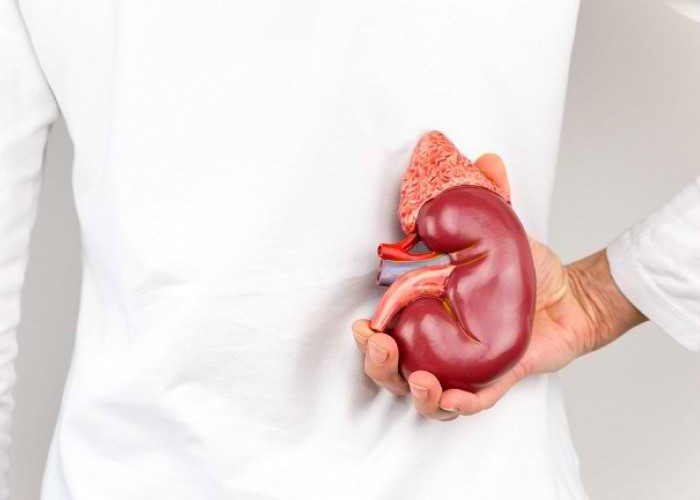  5 Cara Merawat Ginjal agar Sehat dan Cegah Penyakit  