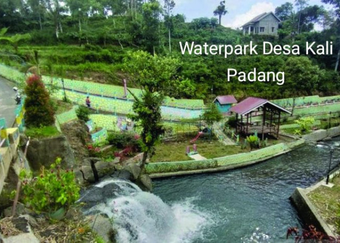 Waterpark Desa Kali Padang Wisata yang Jarang Diketahui 