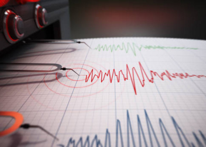 BMKG Peringatkan Gempa Megathrust di Indonesia, Apa Itu?