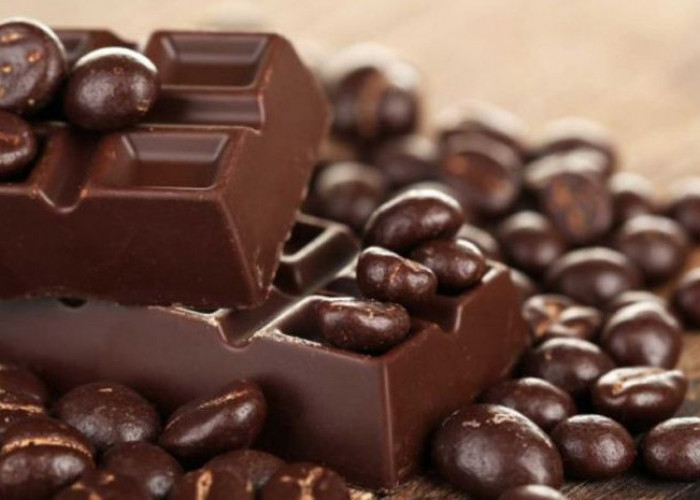  Ini Solusi untuk Kamu yang Mau Makan Cokelat Tapi Lagi Diet