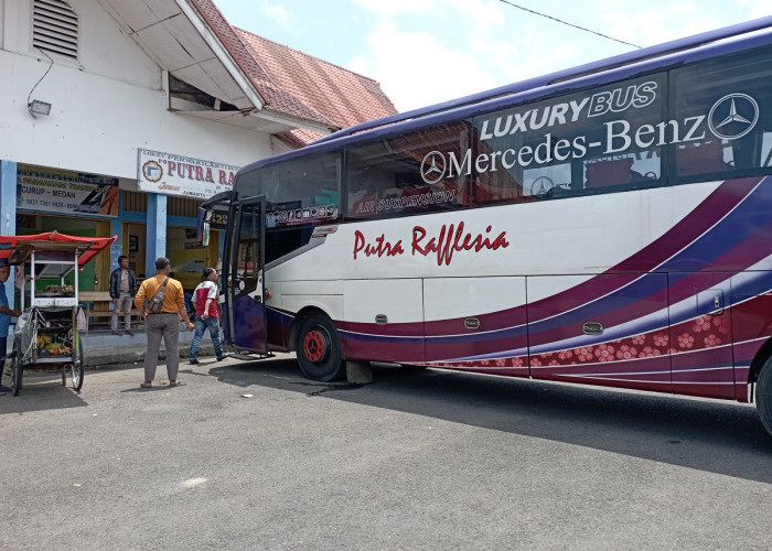  PO Baru Mulai Beroperasi di Terminal Simpang Nangka, Perkuat Layanan Mudik Lebaran 2026