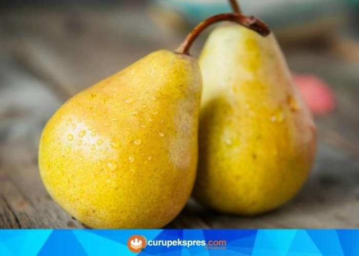 Pear, Buah Sumber Nutrisi yang Bermanfaat untuk Kesehatan Tubuh, Simak Faktanya..