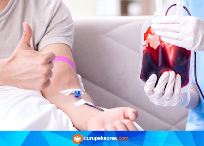 Fakta Penting tentang Kesehatan Setelah Donor Darah