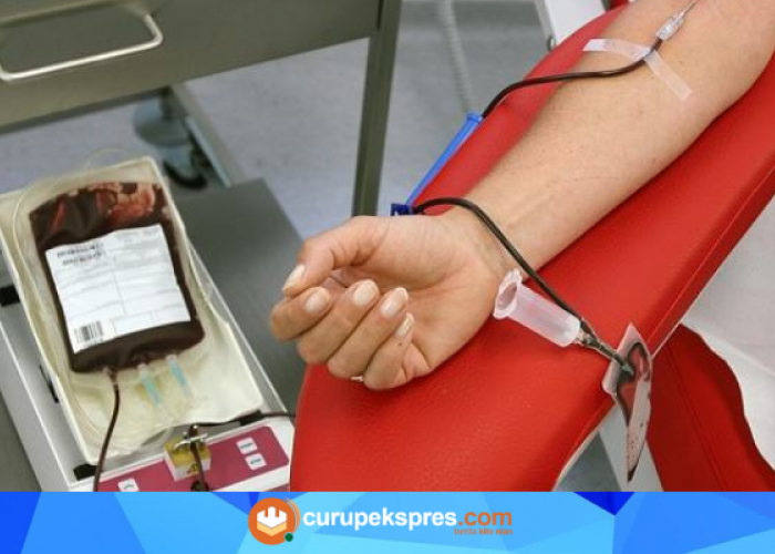 Rahasia Panjang Umur: Donor Darah sebagai Kunci Kesehatan