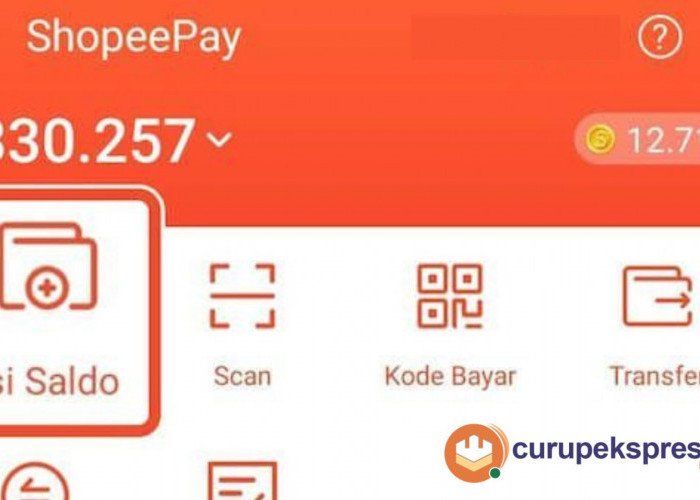 Ini Kegunaan dan Fitur Utama ShoopePay