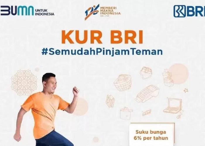 Terhalang Datangi Cabang BRI? Ini Cara Ajukan Pinjaman KUR BRI 2025 Hanya dari Rumah!