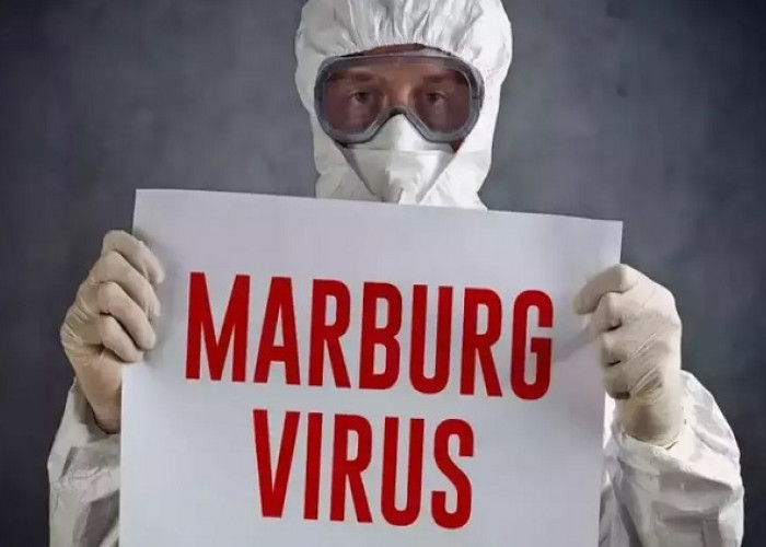 Waspada, Wabah Virus Marburg Menyerang