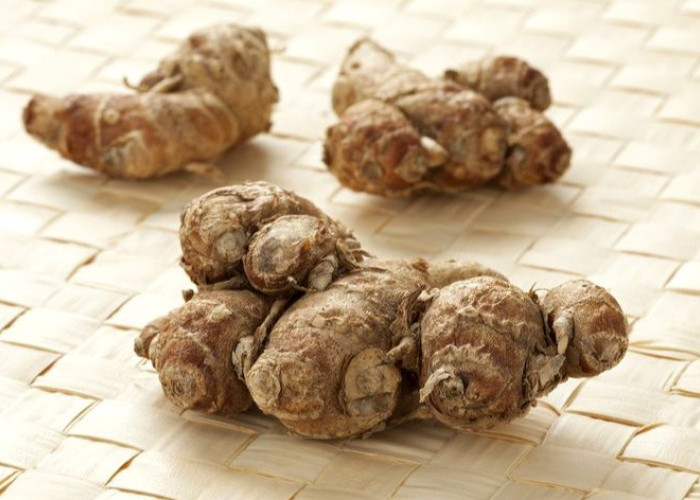 Tak Hanya Bumbu Dapur, Ini Manfaat Daun Kencur untuk Pernapasan dan Pencernaan