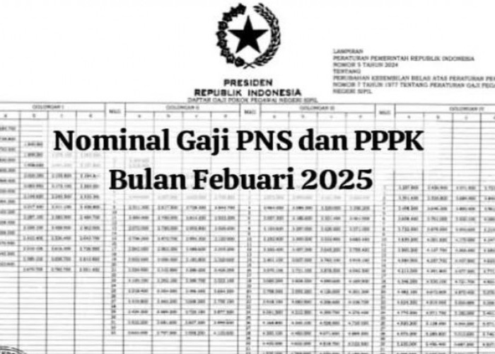 Gaji PPPK Resmi Ditetapkan, Ini Rinciannya di Februari 2025 untuk Golongan I hingga XVII 