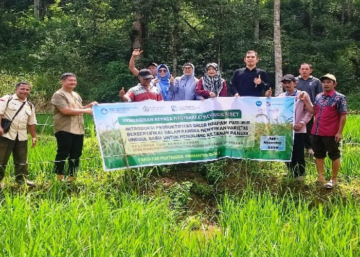 UNIB Mengenalkan Produktivitas Padi Bersertifikat, Hasil Penelitian Dosen Fakultas Pertanian 