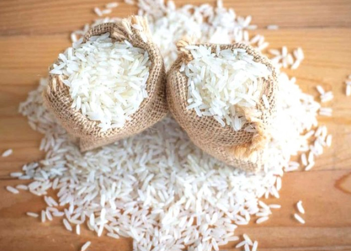  Ternyata Ini Bedanya Antara BeFood dan SPHP