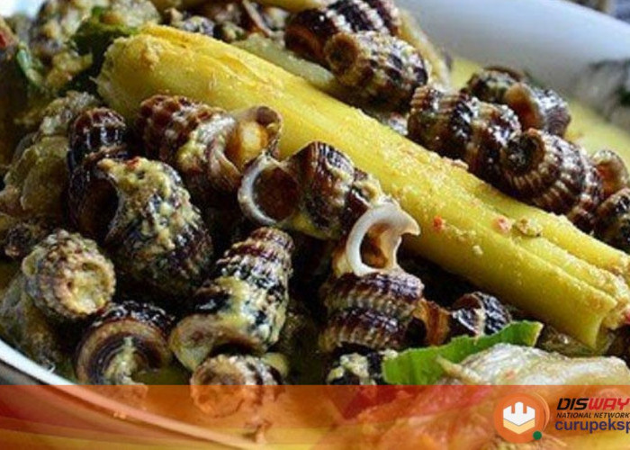 Menu Masakan Rumahan : Resep Gulai Siput