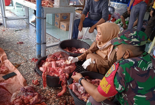 Hasil Pemeriksaan 10 Sampel, Daging Kurban Bebas Penyakit