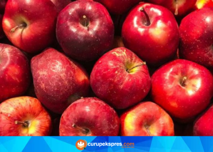 Fakta Tentang Buah Apel, Kaya Akan Nutrisi Bagi Kesehatan Tubuh