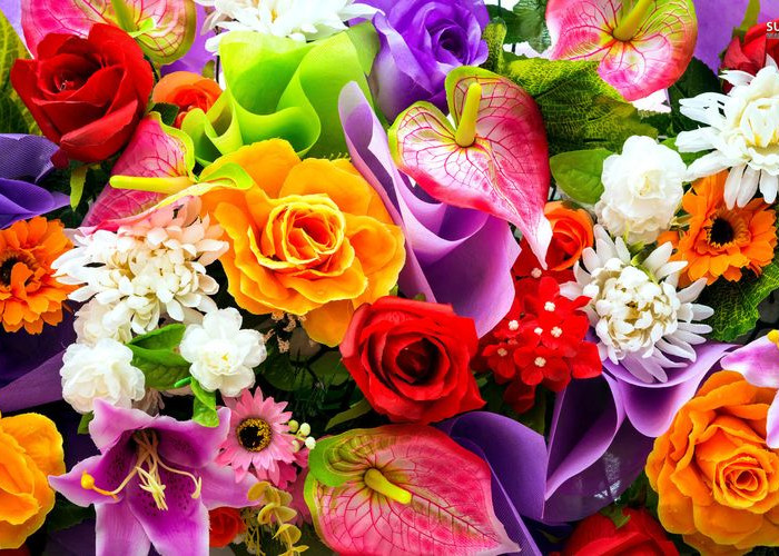 Miliki Makna Yang Indah, Inilah 5 Makna Bunga Yang Miliki Arti Indah