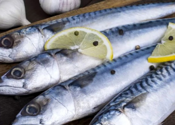  Mau Makan Ikan Setiap Hari ? Ini Jenis yang Paling Sehat dan Aman