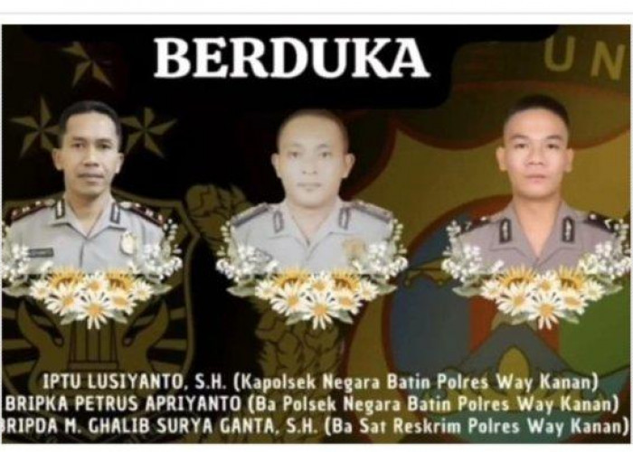 Ini Kronologi 3 Polisi Tewas Tertembak Ketika Gerebek judi Sabung Ayam