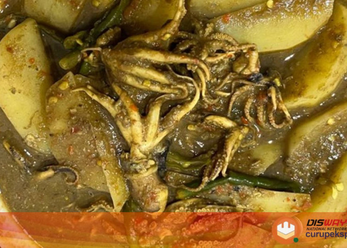 Resep Tumis Aceh Baby Gurita Kentang