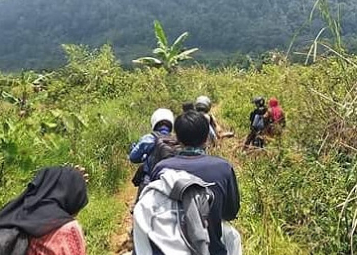 Miris.. Bunga Anggrek di Area Bekas Kebun Tien Soeharto Hampir Tak Ditemukan Lagi