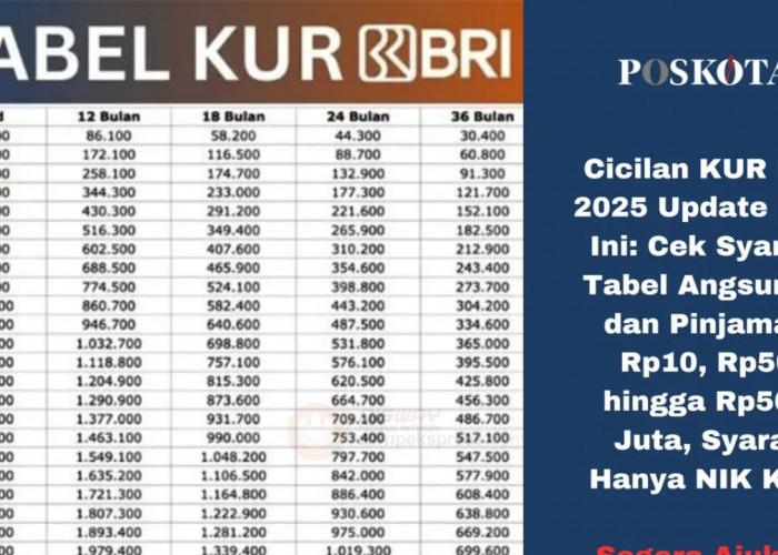 KUR BRI 2025 Kapan Dibuka? Ini Tanggal dan Cara Pengajuan Pinjamannya!