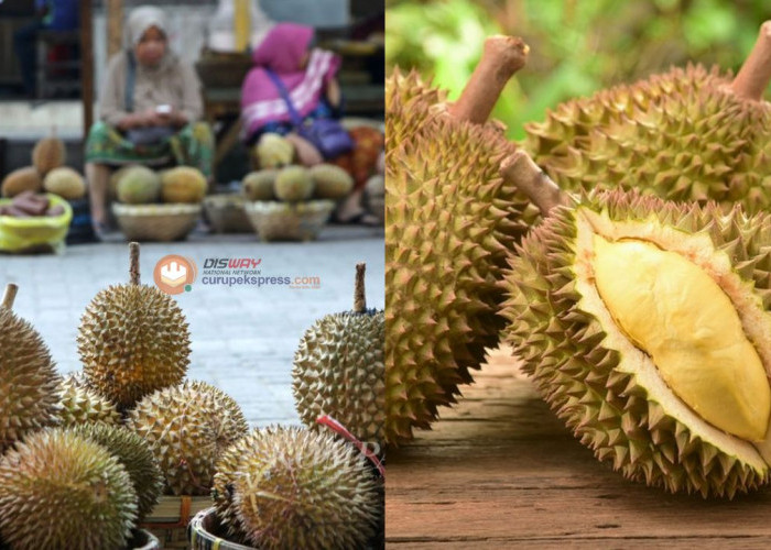 Tips dan Trik Memilih Durian yang Sempurna di Pasar