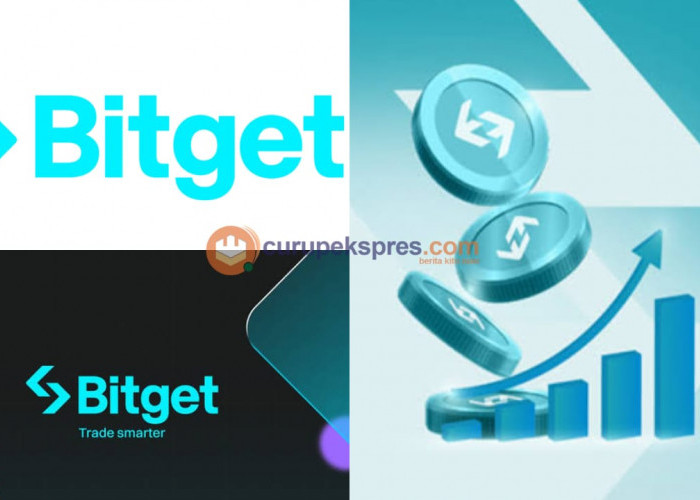 Bitget Wallet Review 2024: Fitur hingga Cara Daftar