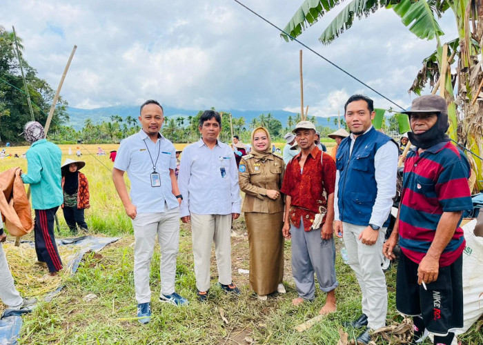 Dukung Swasembada Pangan, Bulog RL Siap Maksimalkan Penyerapan Gabah dan Beras